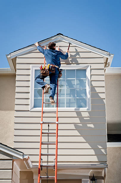 Best Insulated Siding Installation  in Mercedes, TX